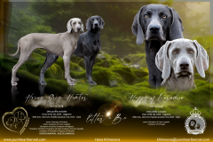 informace o spojení rodičů